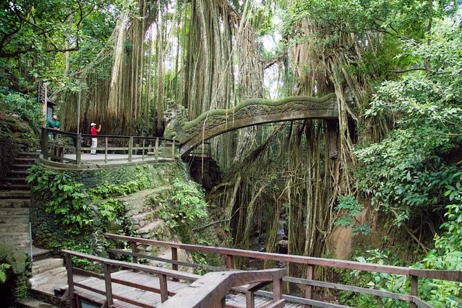 Ubud Sacred Monkey Forest & Art Village Tour - One hour among macaques and temple statues