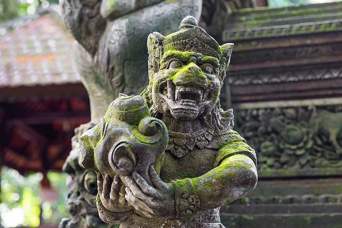 Ubud Sacred Monkey Forest & Art Village Tour - Is $71 fair for four private hours?