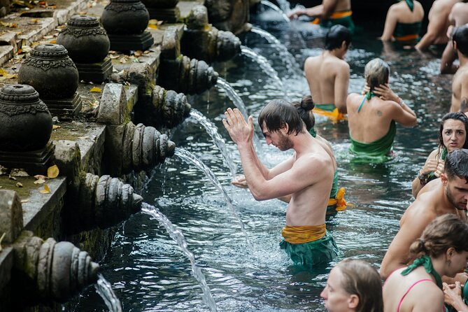 Ubud Small Group Tour: Monkey Forest, Tegalalang Rice Terraces and more - Ubud in one busy, useful day