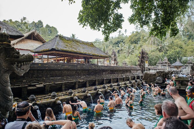 Ubud Small Group Tour: Monkey Forest, Tegalalang Rice Terraces and more - Why this tour works for a first look at Ubud