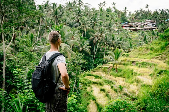 Ubud Small Group Tour: Monkey Forest, Tegalalang Rice Terraces and more - Monkey Forest: entertaining, but mind your bag
