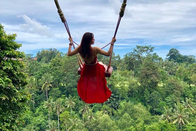 Ubud: Swing - Monkey Forest - Waterfall - Temple - Rice Terraces - Art Crafts - One private car, six sides of Ubud