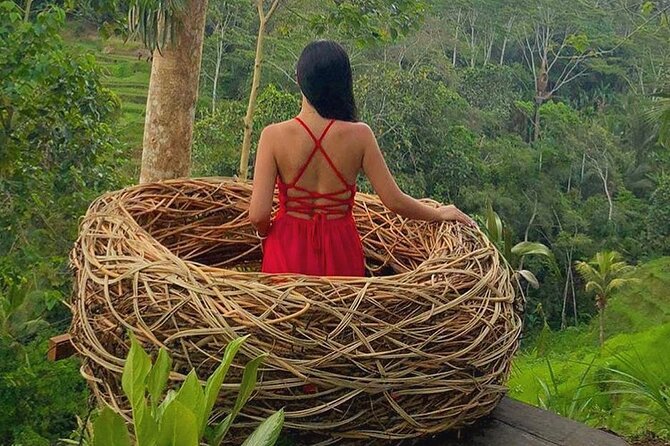 Ubud: Swing - Monkey Forest - Waterfall - Temple - Rice Terraces - Art Crafts - Tirta Empul Temple: see a living purification tradition