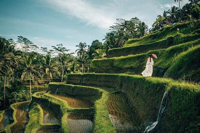 Ubud: Swing - Monkey Forest - Waterfall - Temple - Rice Terraces - Art Crafts - Tegalalang Rice Terrace: beautiful, busy, and dependent on the season