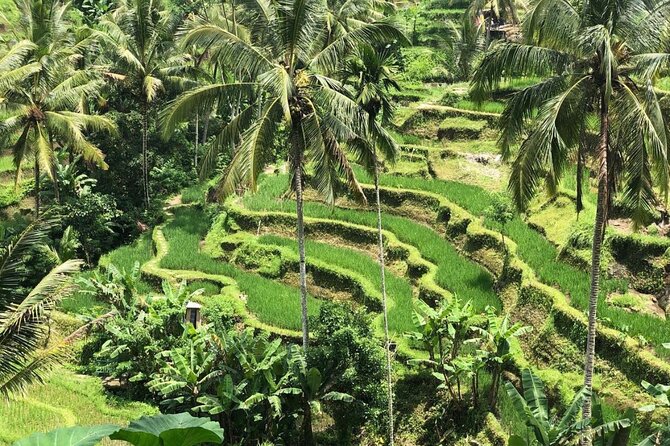 Ubud Temples, Waterfalls, Rice Terraces & Balinese Culture - Tukad Cepung Waterfall: a jungle walk with a swim option