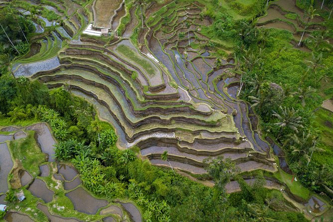 Ubud Top Attractions: Waterfalls, Temples and Rice Terraces - Gunung Kawi Sebatu Temple: a calmer cultural pause