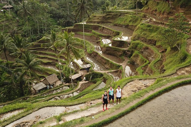 Ubud Top Attractions: Waterfalls, Temples and Rice Terraces - d’Alas Swing: big photos over the jungle valley