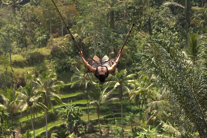 Ubud Top Attractions: Waterfalls, Temples and Rice Terraces - Lunch at D Alas Warung, with a view