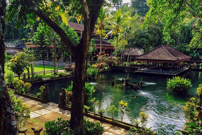 Ubud Top Attractions: Waterfalls, Temples and Rice Terraces - The driver-guide makes the private format worthwhile