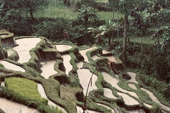 Ubud Top Tours to Discover Bali’s Cultural and Natural Wonders - Key reasons to consider this Ubud day tour