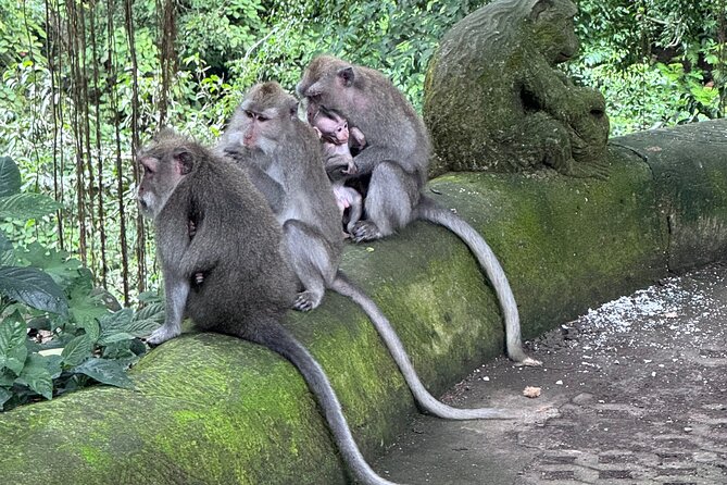 Ubud Top Tours to Discover Bali’s Cultural and Natural Wonders - Rumah Bali Kuno and the Gung Aji traditional house