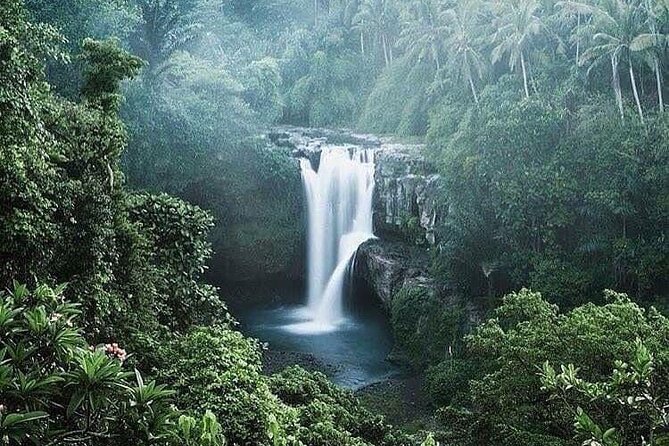 Ubud Top Tours to Discover Bali’s Cultural and Natural Wonders - Tirta Empul and the Balinese purification ritual
