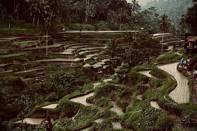 Ubud Top Tours to Discover Bali’s Cultural and Natural Wonders - Ulu Petanu Waterfall for a short jungle break