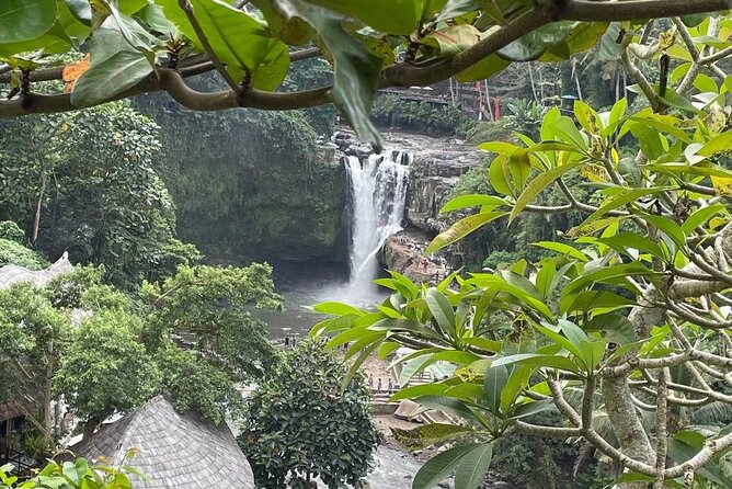 Ubud Tour - Highlight of Ubud - Traditional Tour - What the $85 price really covers