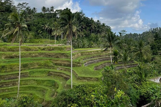 Ubud Tour - Highlight of Ubud - Traditional Tour - Tegenungan Waterfall adds a change of pace