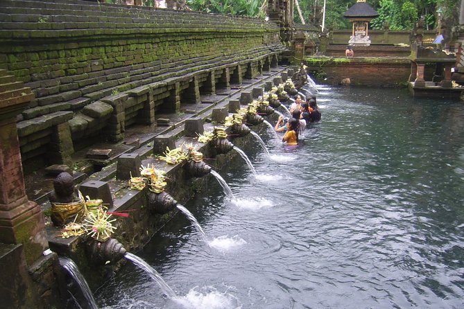 Ubud Tour - Ubud Highlight - Private Tour All inclusive - Tegalalang Rice Terrace: the view that defines Ubud