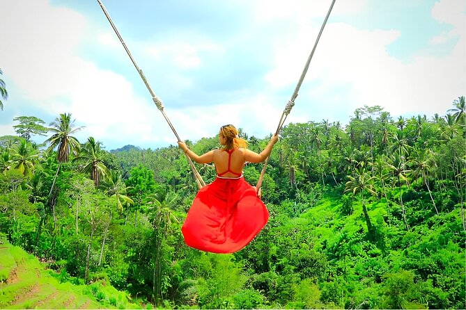 Ubud Tour with Jungle Swing and Waterfall Water Temple - Tegalalang Rice Terrace and the price of the view