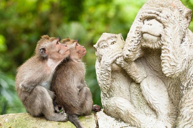 Ubud Tour with Swing, Temple, Monkey Forest, and Waterfall - Key points to know before booking