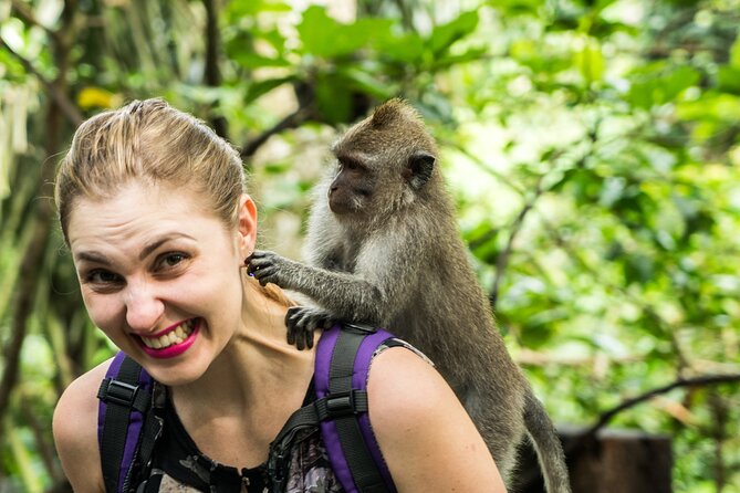 Ubud Tour with Swing, Temple, Monkey Forest, and Waterfall - Why this Ubud day trip works