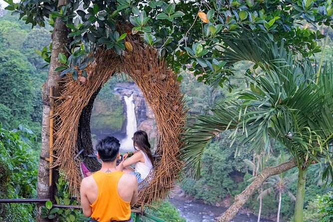 Ubud Trip, The Best of Ubud in a day - All Inclusive - What This Ubud Day Tour Is Really Trying to Do
