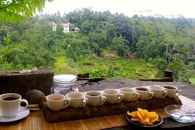 Ubud Trip, The Best of Ubud in a day - All Inclusive - Tirta Empul: Bali’s Holy Water Temple