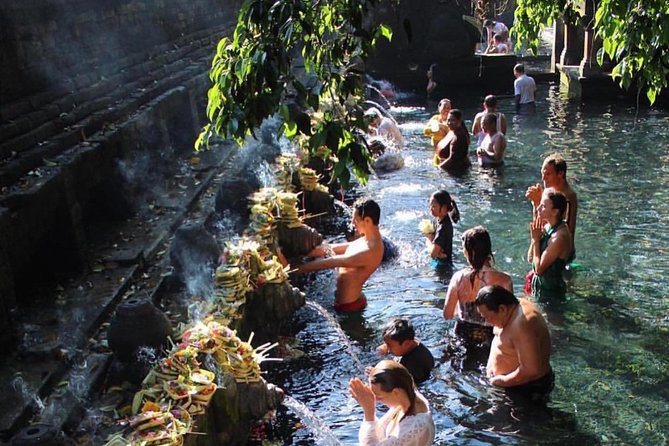 Ubud Trip, The Best of Ubud in a day - All Inclusive - Why the Private Car and Guide Matter
