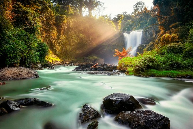 Ubud Village Sightseeing, Famous Paddy Field And Ubud Waterfall - What the $45 price really covers