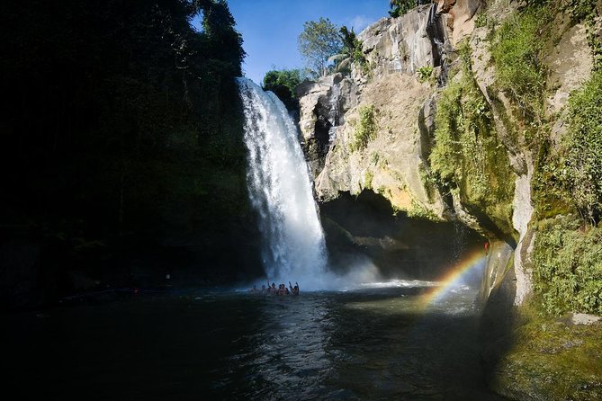 Ubud Village Sightseeing, Famous Paddy Field And Ubud Waterfall - Tirta Empul: a holy spring with living religious practice