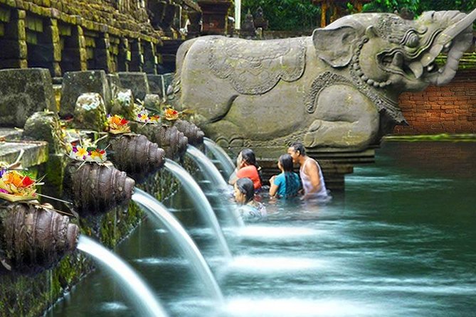 Ubud Village Sightseeing, Famous Paddy Field And Ubud Waterfall - How the day feels from Seminyak