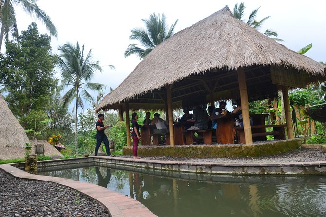 Ubud Village Sightseeing, Famous Paddy Field And Ubud Waterfall - Who this Ubud tour suits best