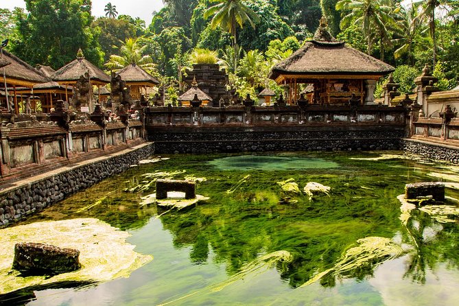 Ubud Village Sightseeing, Famous Paddy Field And Ubud Waterfall - Pulina Bali Coffee Plantation: a short stop with a useful demonstration