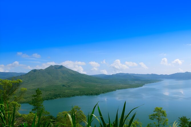 Ubud Village, Waterfall and Kintamani Volcano Tour - Tegalalang Rice Terrace: Bali’s famous cultivated hills