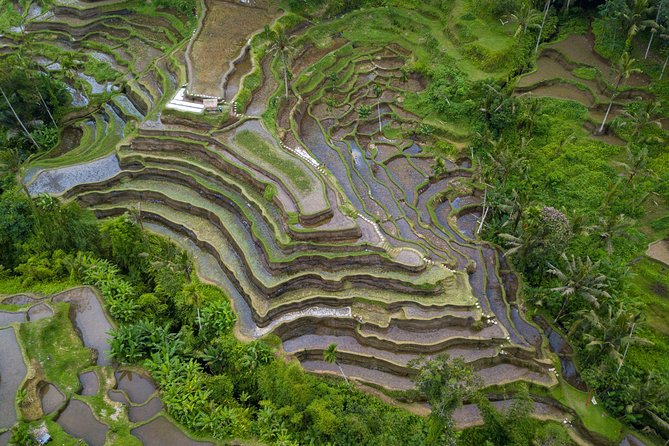 Ubud Volcano Lake and Natural Hot Spring Tour - Relaxing at Batur Natural Hot Spring