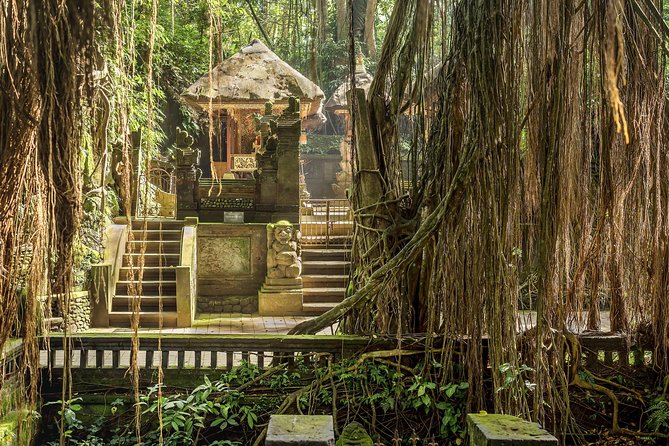 Ubud: Waterfall, Rice Terraces, and Monkey Forest Private Tour - Tasting luwak coffee at a local plantation