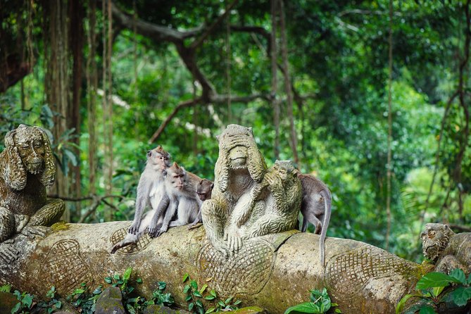 Ubud: Waterfall, Rice Terraces, and Monkey Forest Private Tour - Meeting the macaques at Sacred Monkey Forest