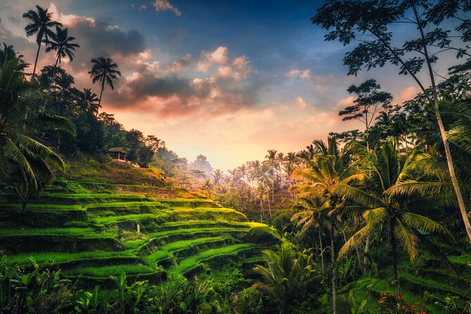 Ubud waterfall, rice terraces, and swing explore - What this six-hour Ubud route is really like