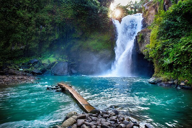 Ubud waterfall, rice terraces, and swing explore - Tegalalang Rice Terraces: Bali’s famous green stairway