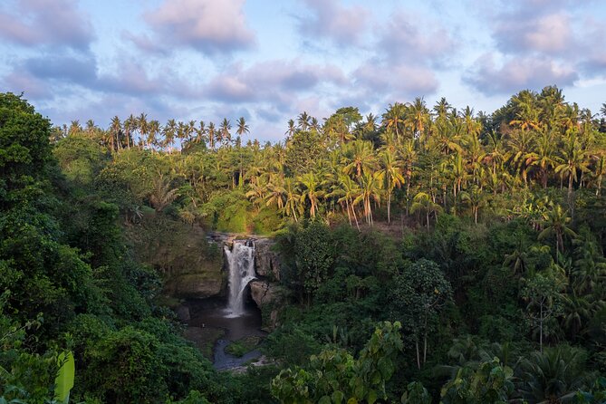 Ubud waterfall, rice terraces, and swing explore - Is $41, or about $66 with the swing, good value?