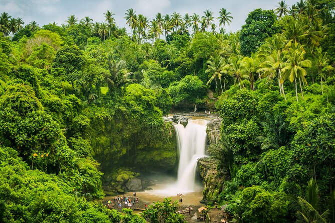 Ubud waterfall, rice terraces, and swing explore - Guides named Dewa and Kadek set a useful standard