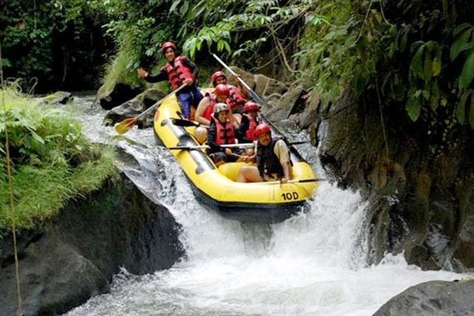 Ubud White Water Rafting on the Ayung River with Pickup & Lunch - Quick Points About the Ayung River Trip