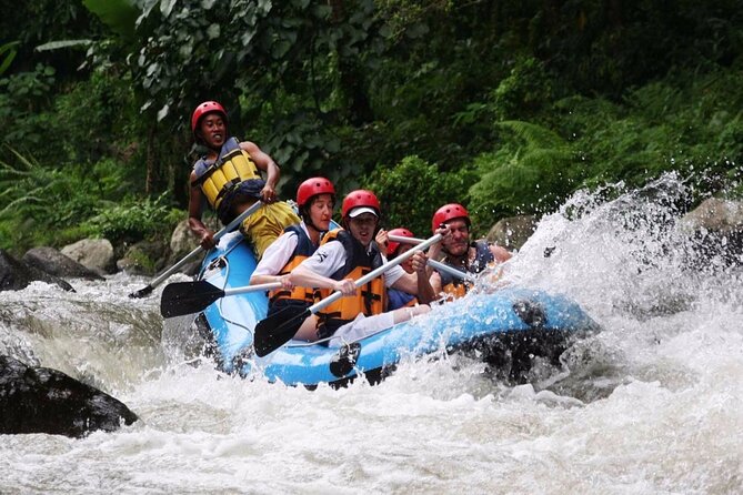 Ubud White Water Rafting with Waterfall and Lunch - Key points before you book