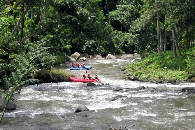 Ubud White Water Rafting with Waterfall and Lunch - Is $26.97 good value?