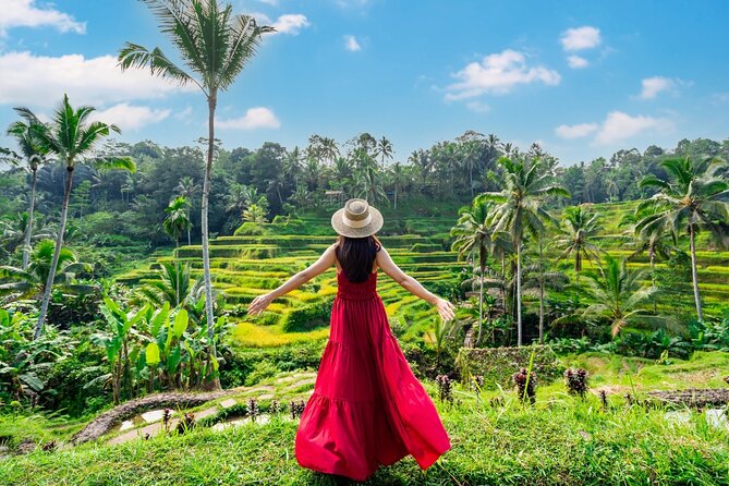 Ultimate Ubud Experience All Inclusive Private Day Tour - Key points before you book