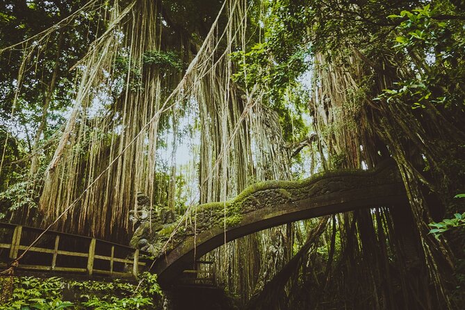 Ultimate Ubud Experience All Inclusive Private Day Tour - What this Ubud day actually covers