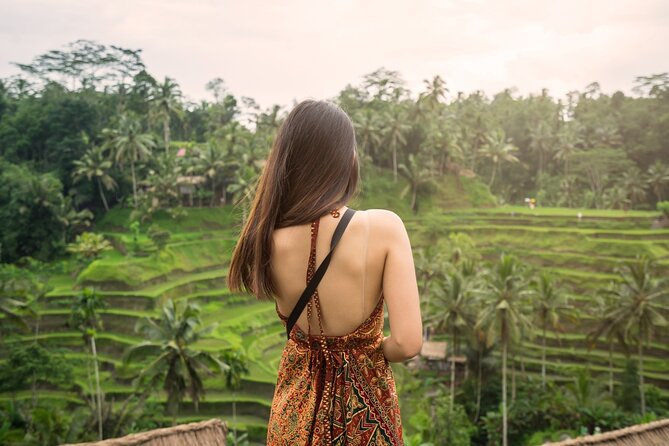 Ultimate Ubud Experience All Inclusive Private Day Tour - Meeting Bali’s macaques at Sacred Monkey Forest