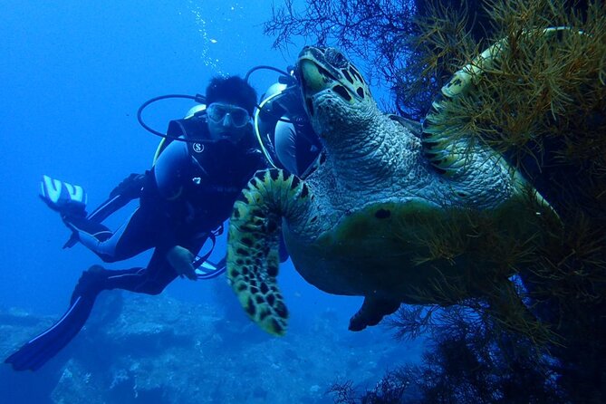 USS Liberty Shipwreck Scuba Diving at Tulamben Bali - Why the USS Liberty is worth your Bali day