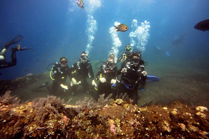 USS Liberty Shipwreck Scuba Diving at Tulamben Bali - First session: getting oriented around the wreck