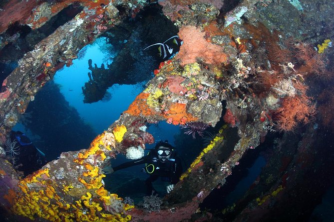 USS Liberty Shipwreck Scuba Diving at Tulamben Bali - Second session: coral, swim-throughs, and small creatures