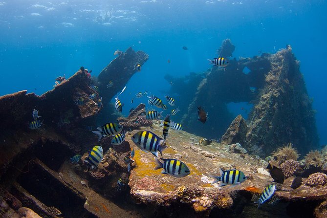 USS Liberty Shipwreck Scuba Diving at Tulamben Bali - The long road from Nusa Dua to Tulamben