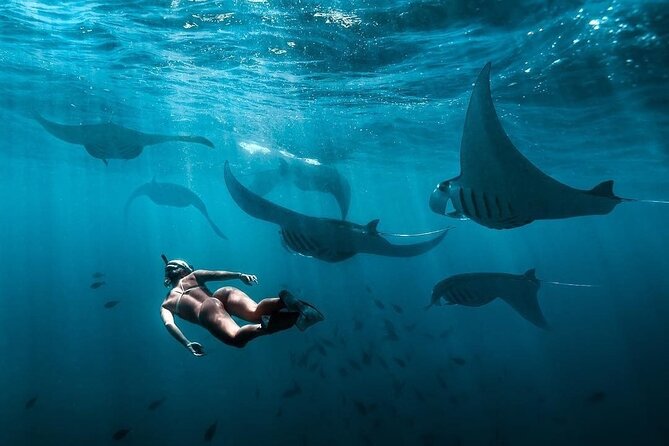 VIP Private Boat to Nusa Penida: Snorkeling with Mantas + Land Tour Adventure - Kelingking Cliff and the famous viewpoint